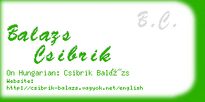 balazs csibrik business card